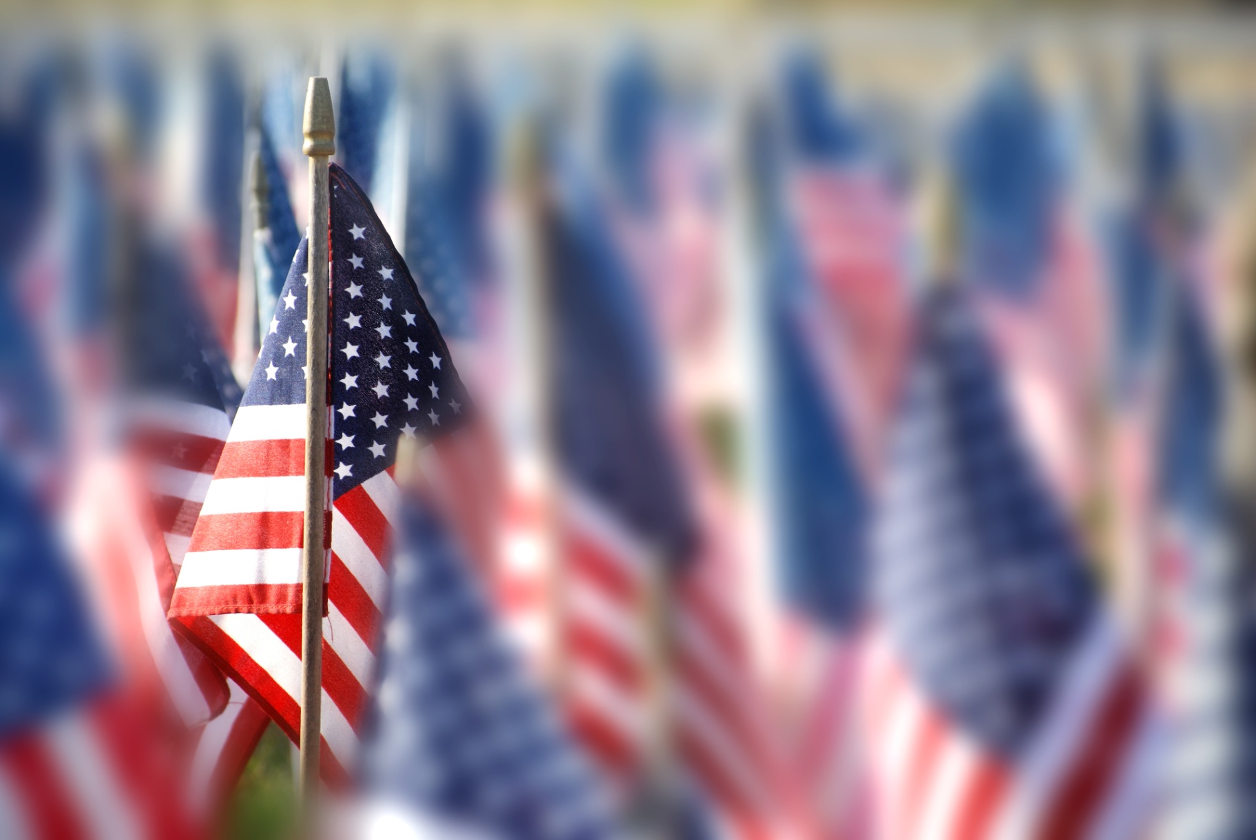 11 WAYS TO CELEBRATE VETERANS DAY: HONOR THOSE WHO SERVED